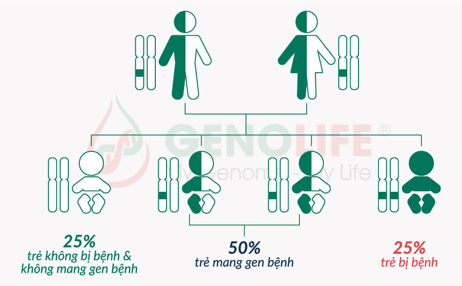 Carrier Screening - Cơ sở khoa học 1
