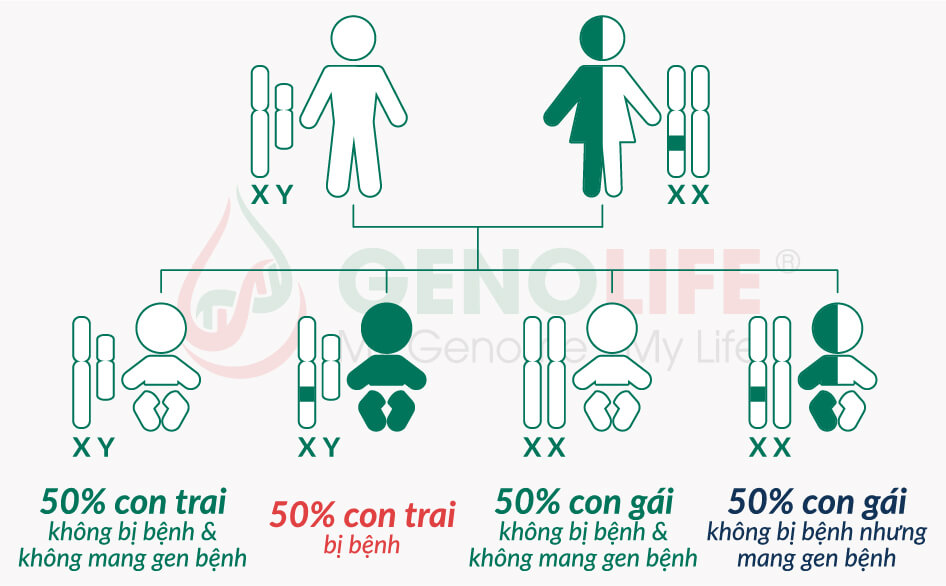 Carrier Screening - Cơ sở khoa học 2