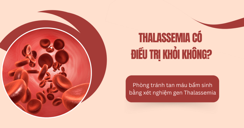 Tan-mau-bam-sinh-Thalassemia-dieu-tri-khoi-khong-thumb