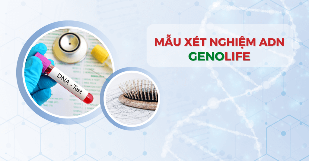 mau-xet-nghiem-ADN-thumb.