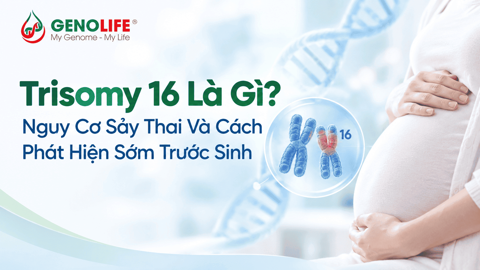 trisomy 16 la gi