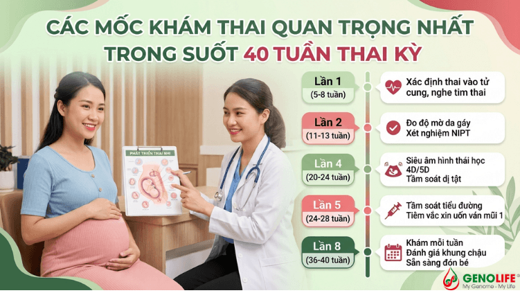 Đầy đủ các mốc
