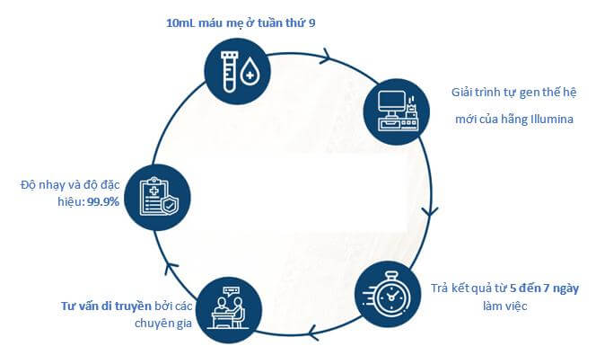 quy trình xét nghiệm NIPT